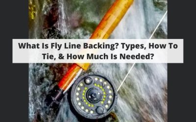 What Is Fly Line Backing? Types, How To Tie, & How Much Is Needed?
