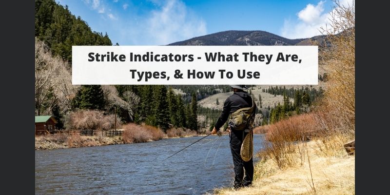 Strike Indicators – What They Are, Types, & How To Use