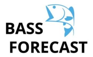 Bass Forecast