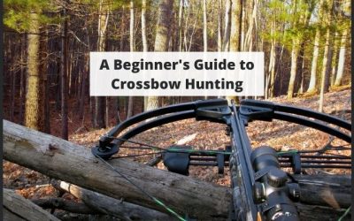 A Beginner’s Guide to Crossbow Hunting: Everything You Need to Know