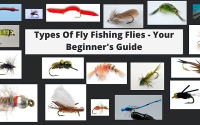 Types Of Fly Fishing Flies