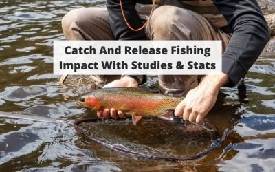 Does Catch And Release Hurt Fish? Studies, Stats, & Best Practices