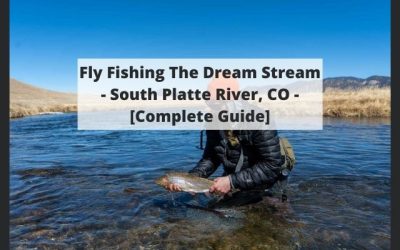 Fishing The Dream Stream Of The South Platte River, CO – Complete Guide w/ Map, Pictures, Tips & More