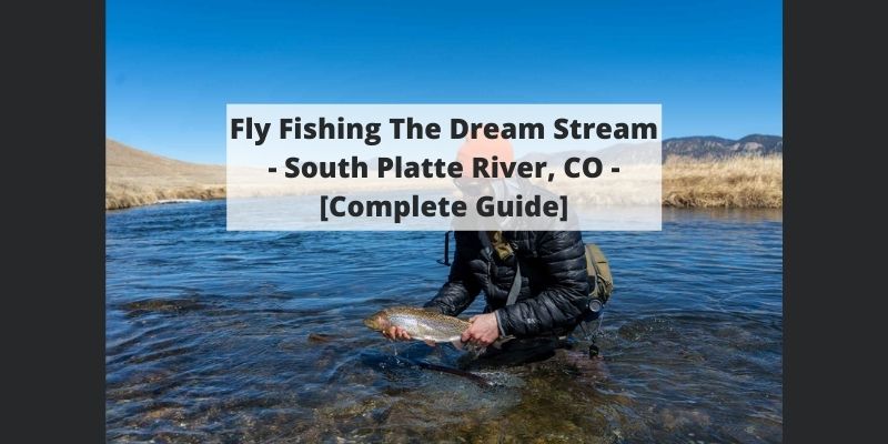 Fishing The Dream Stream Of The South Platte River, CO – Complete Guide w/ Map, Pictures, Tips & More