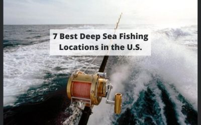 7 Best Deep Sea Fishing Locations in the U.S.