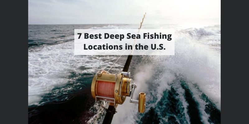 7 Best Deep Sea Fishing Locations in the U.S.