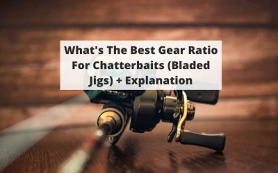 What’s The Best Gear Ratio For Chatterbaits (Bladed Jigs) + Explanation