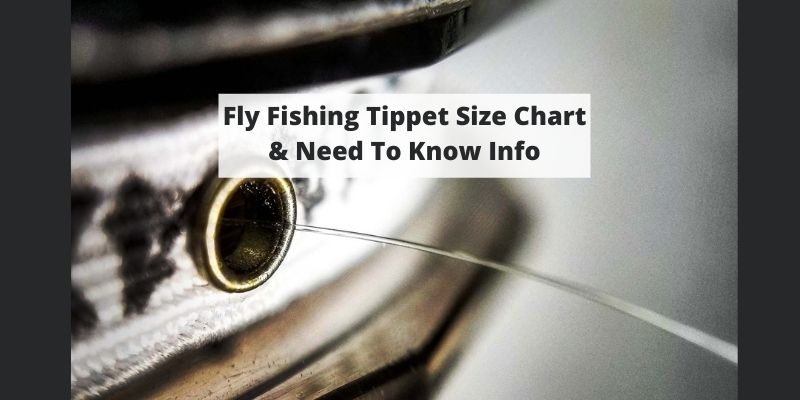 Fly Fishing Tippet Size Chart & Need To Know Info