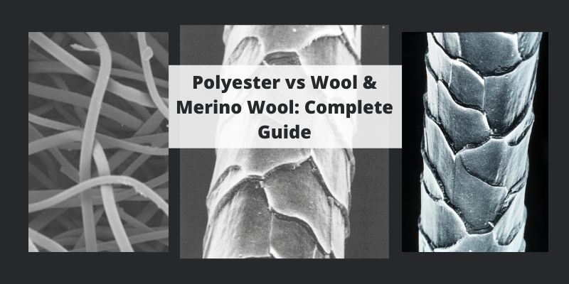Polyester vs Wool & Merino Wool