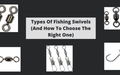 Types Of Fishing Swivels (And How To Choose The Right One)