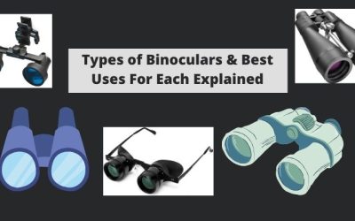Types of Binoculars & Their Best Uses Explained