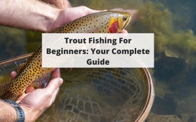 Trout Fishing For Beginners: Your Complete Guide
