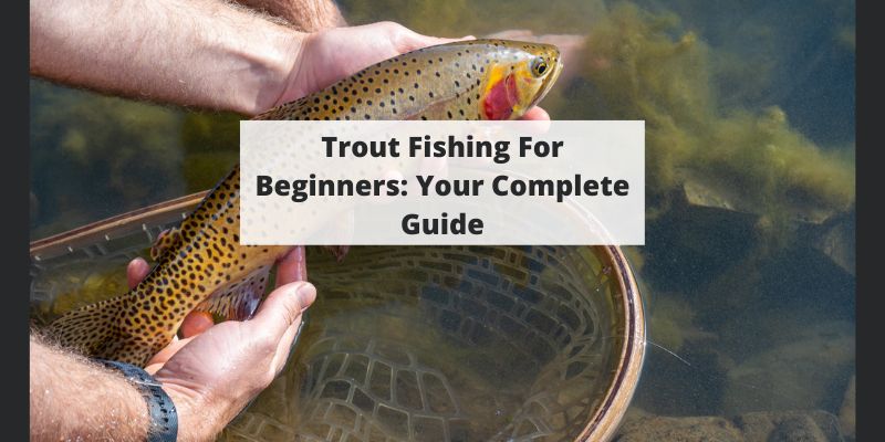 Trout Fishing For Beginners
