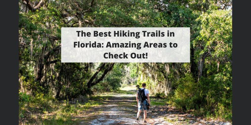 The Best Hiking Trails in Florida: 10 Amazing Hikes to Check Out!