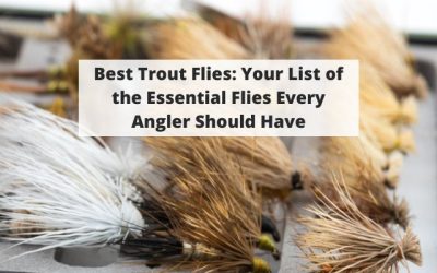 Best Trout Flies: Your Complete List of the Essential Flies Every Angler Should Have