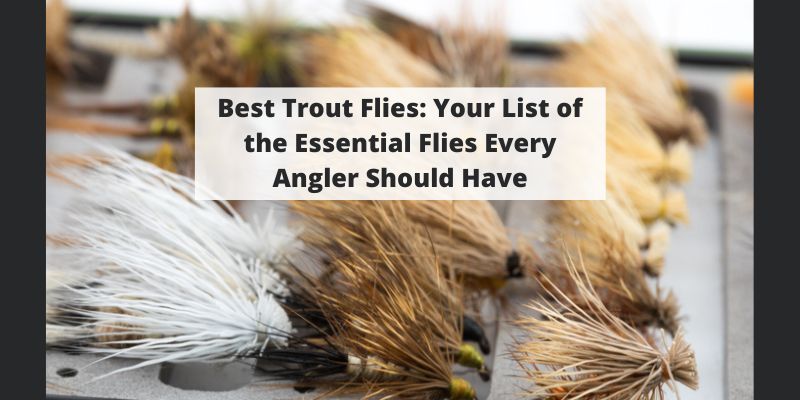 Best Trout Flies: Your Complete List of the Essential Flies Every Angler Should Have