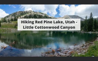 Hiking Red Pine Lake, Utah – Little Cottonwood Canyon
