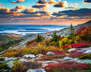 An autumn view from Cadillac Mountain in Acadia National Park