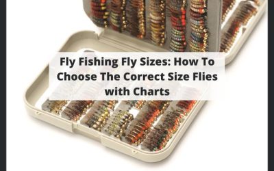 Fly Fishing Fly Sizes: How To Choose The Correct Size Flies with Charts