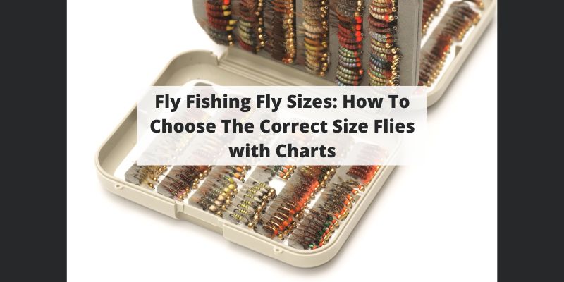 Fly Fishing Fly Sizes