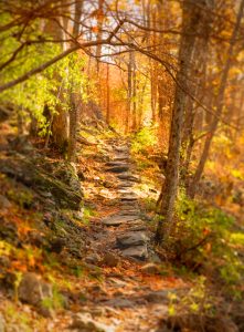 Rocky path in Shenandoah National Park in autumn