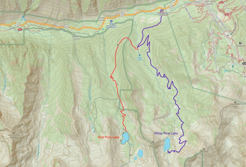 White Pine Lake Trail Map