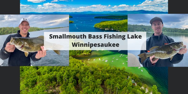 Smallmouth Bass Fishing Lake Winnipesaukee