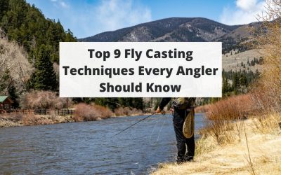 Top 9 Fly Casting Techniques Every Angler Should Know