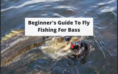 Beginner’s Guide To Fly Fishing For Bass
