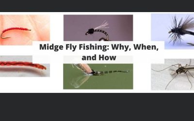 Midge Fly Fishing: Why, When, and How