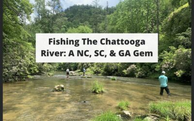 Fishing The Chattooga River
