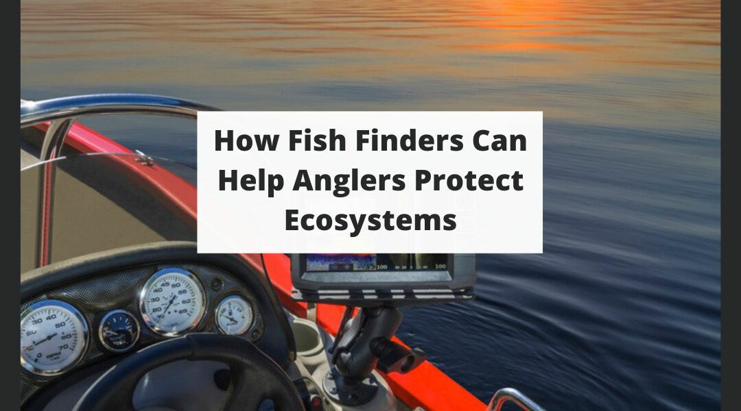 How Fish Finders Can Help Anglers Protect Marine Life and Ecosystems