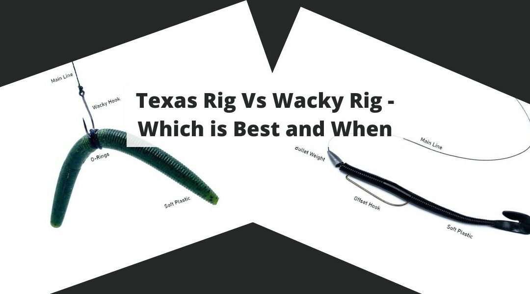 Texas Rig Vs Wacky Rig – Which is Best and When