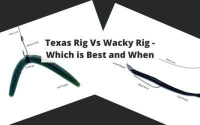 Texas Rig Vs Wacky Rig – Which is Best and When