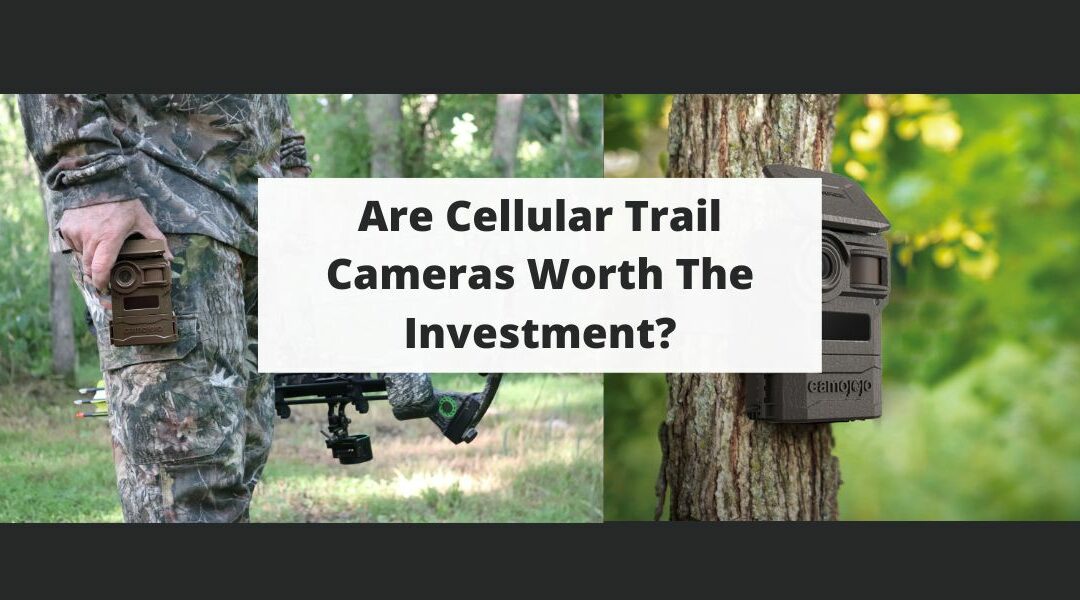 Are Cellular Trail Cameras Worth The Investment?