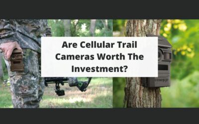 Are Cellular Trail Cameras Worth The Investment?