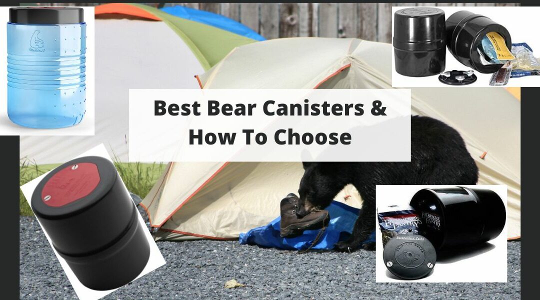 Best Bear Canisters: How To Choose, Pack and Carry For Backpacking