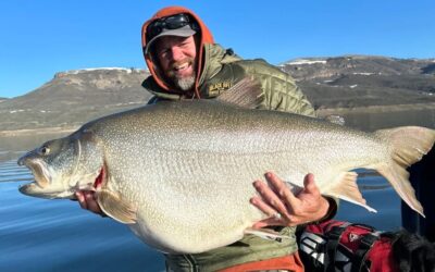 Colorado Fisherman Catches What Might Be A World Record Lake Trout