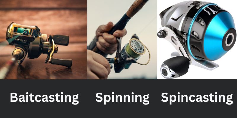 Baitcasting vs Spinning Vs Spincasting Reels