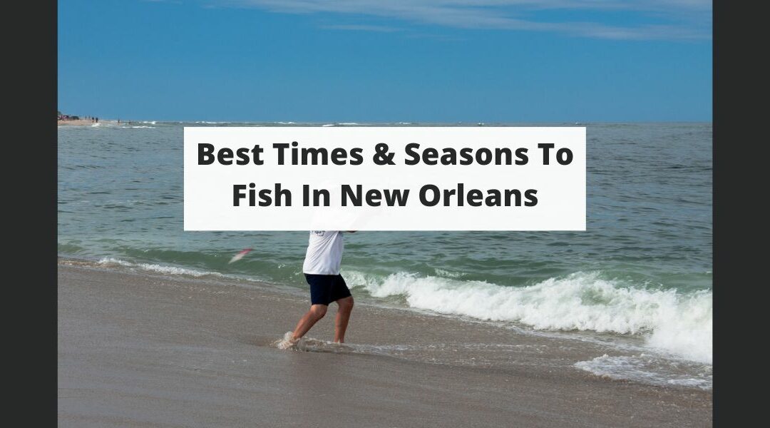 Best Times & Seasons To Fish In New Orleans