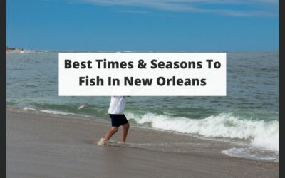 Best Times & Seasons To Fish In New Orleans