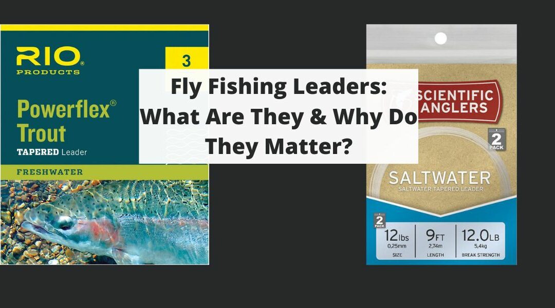 Fly Fishing Leaders: What Are They & Why Do They Matter?