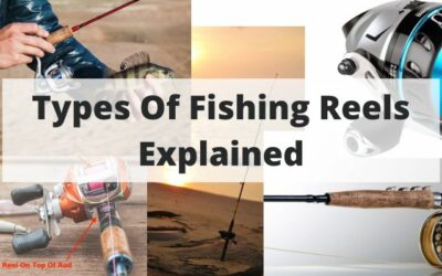 Types Of Fishing Reels: Your Ultimate Guide To Understanding Each