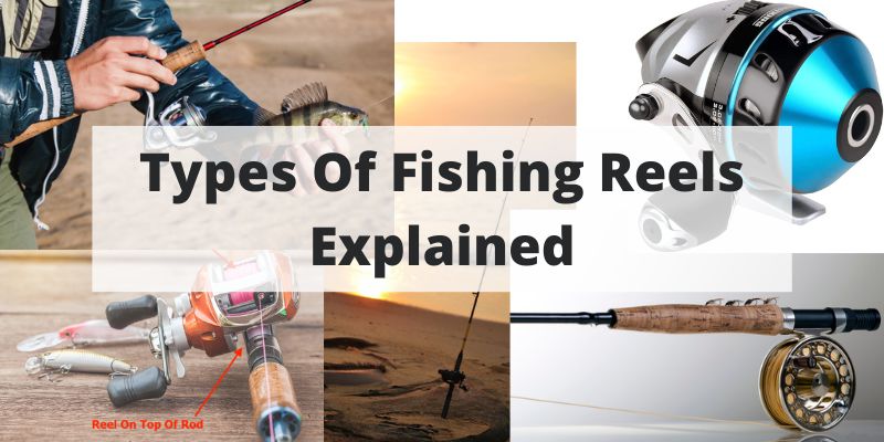 Types Of Fishing Reels: Your Ultimate Guide To Understanding Each