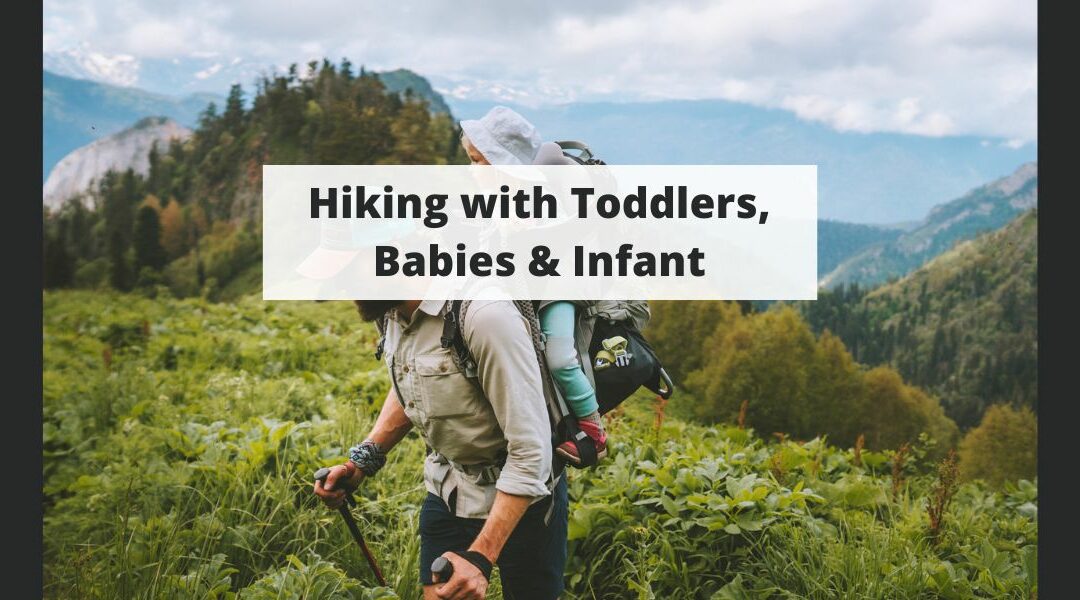 Hiking with Toddlers, Babies & Infants: Tips and Tricks for a Stress-Free Experience
