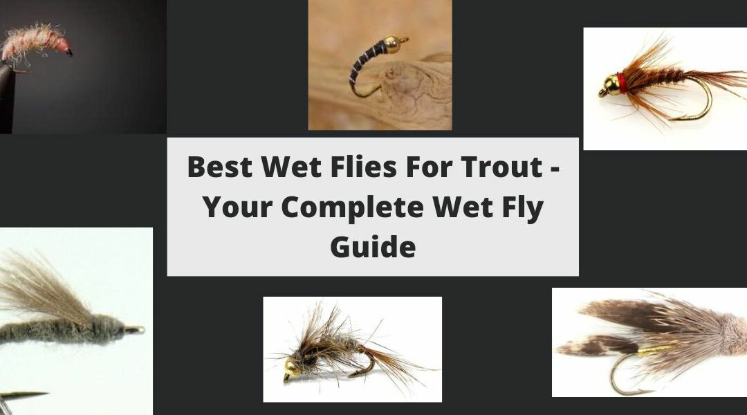 Best Wet Flies For Trout – Your Complete Wet Fly Guide