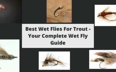 Best Wet Flies For Trout – Your Complete Wet Fly Guide