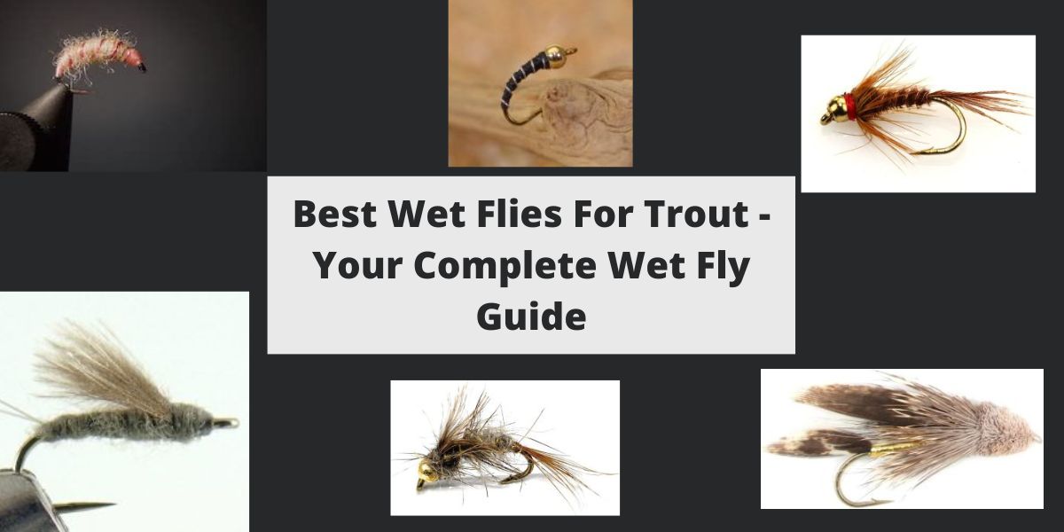 Best Wet Flies For Trout
