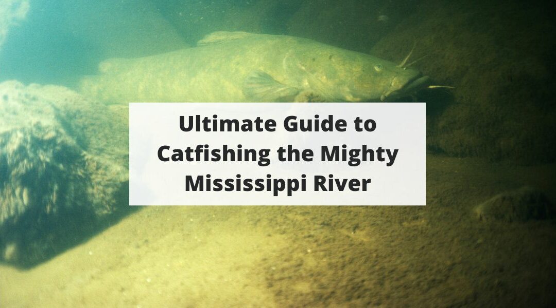 Ultimate Guide to Catfishing the Mighty Mississippi River