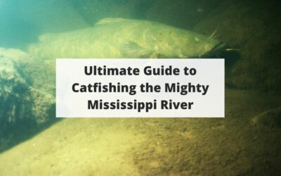 Ultimate Guide to Catfishing the Mighty Mississippi River